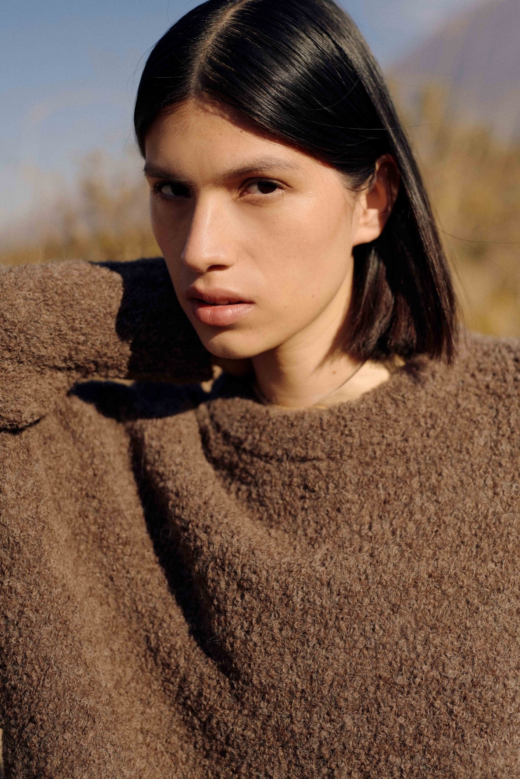 Damen Alpaka Bouclé Pullover in Braun