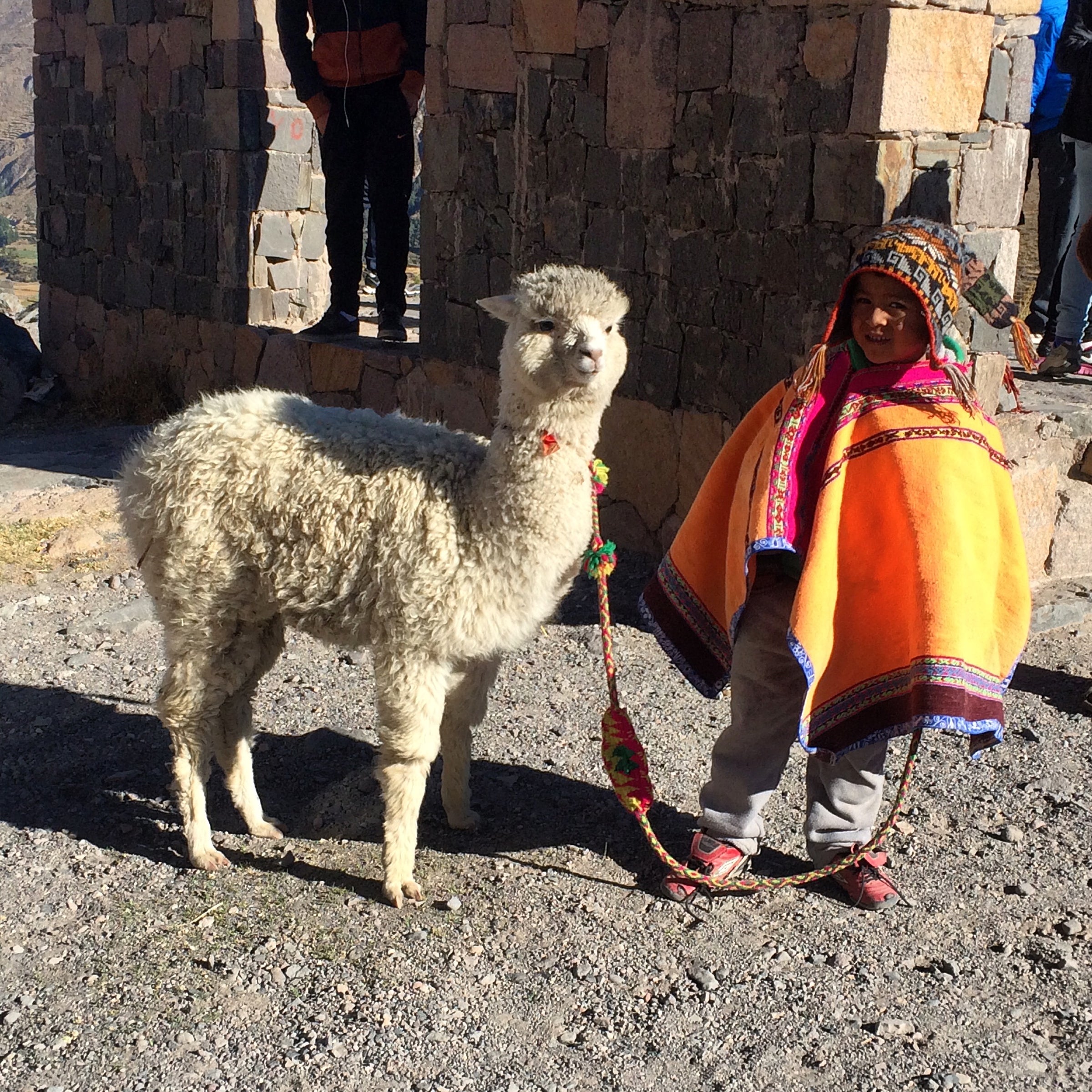 Manuela Bedford auf Reise in Peru mit einem kleinen Alpaka